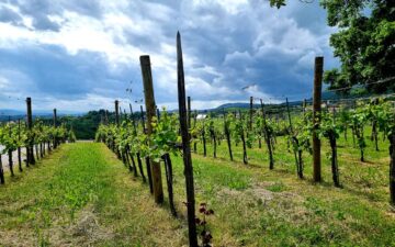 189489759_3767125706743758_8338503271462076200_n