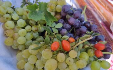 241395576_4059884570801202_8462498250189876485_n