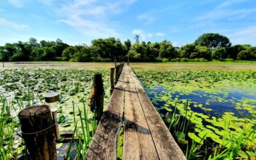 67563798_2177706699019008_3169008513745682432_n