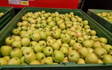 20230907_101547.jpg__648x432_q85_subsampling-2