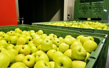 20230907_101613.jpg__648x432_q85_subsampling-2